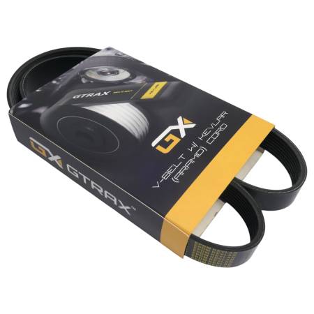 Pasek żebrowany (grupa...