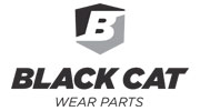 logotyp Black Cat